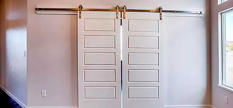 Glass Barn Door with Installation Hardware Kit La Vergne