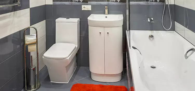 Hansgrohe Shaving Mirror La Vergne